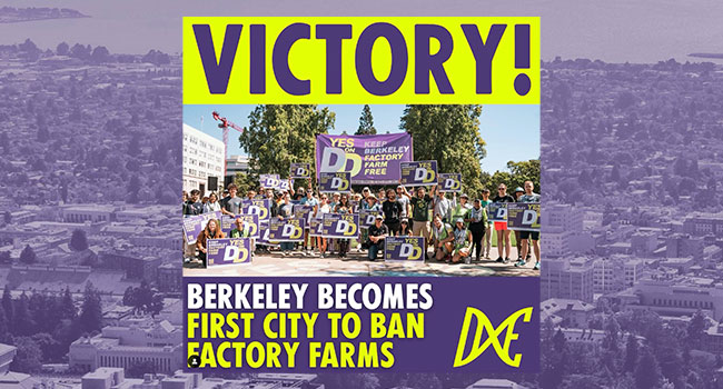 Berkeley è la prima città al mondo a vietare l’allevamento intensivo