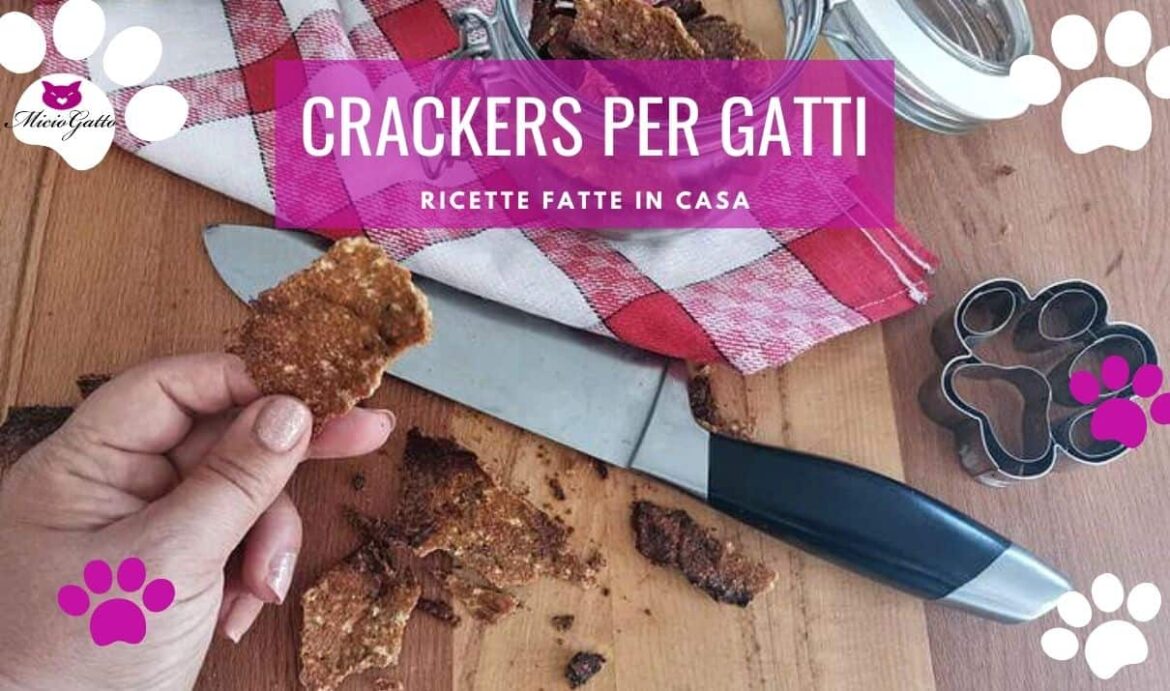 Crackers per gatti fatti in casa, ecco la ricetta
