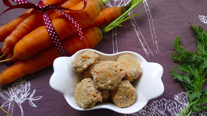 Polpette di pollo per gatti fatte in casa