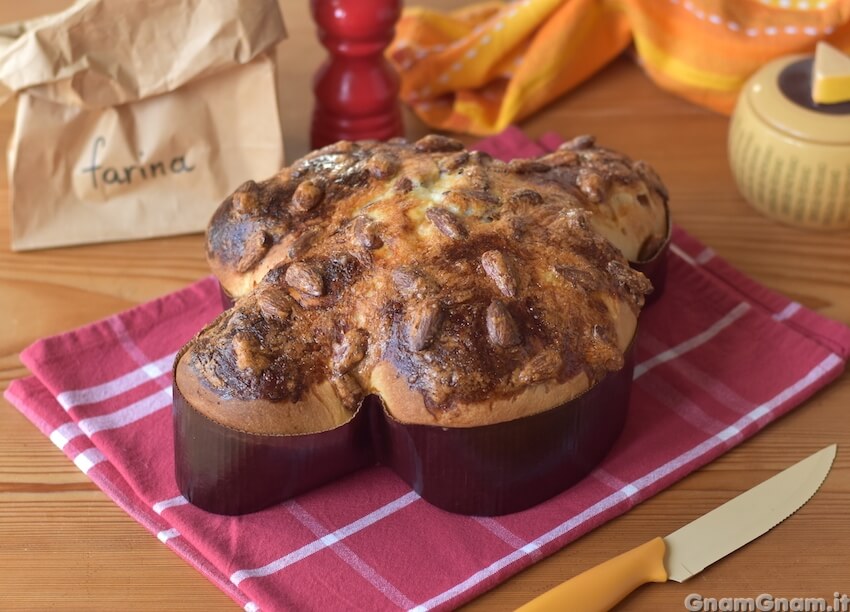 Colomba salata