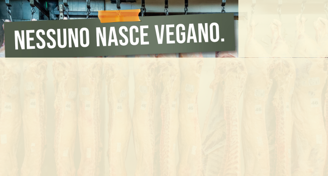 Risolto il mistero delle pubblicità “senza nome” con gli animali squartati