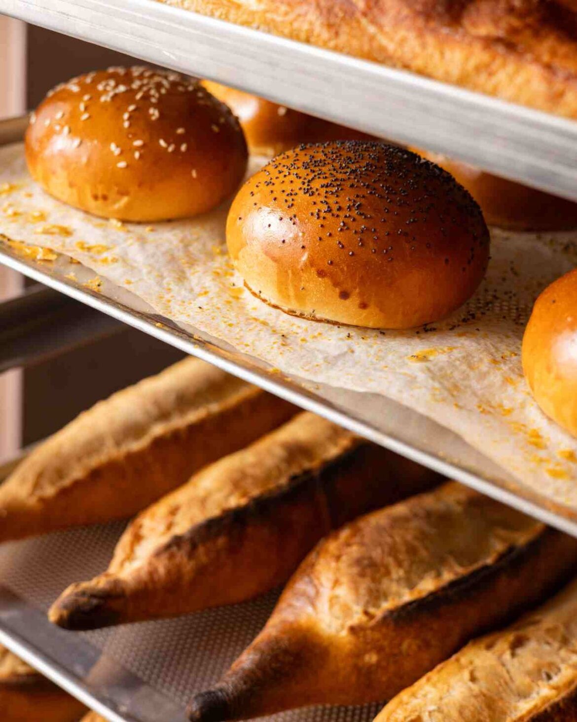 Ho fatto colazione e pranzo alla nuova bakery in Cattolica a Milano